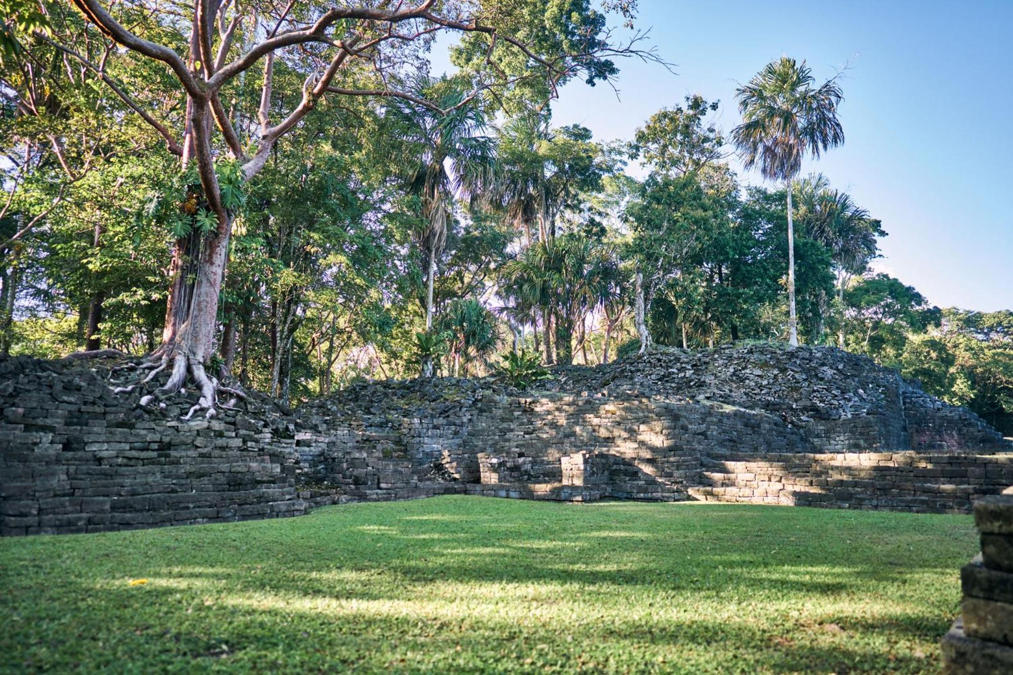 Turtle Inn By Francis Ford Coppola Placencia Экстерьер фото